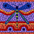 Blue Dragonfly mosaic design