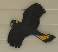 outdoor mosaic wall wisdom black cockatoo