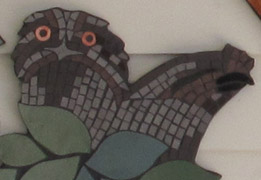 outdoor mosaic wall wisdom tawny frogmouth