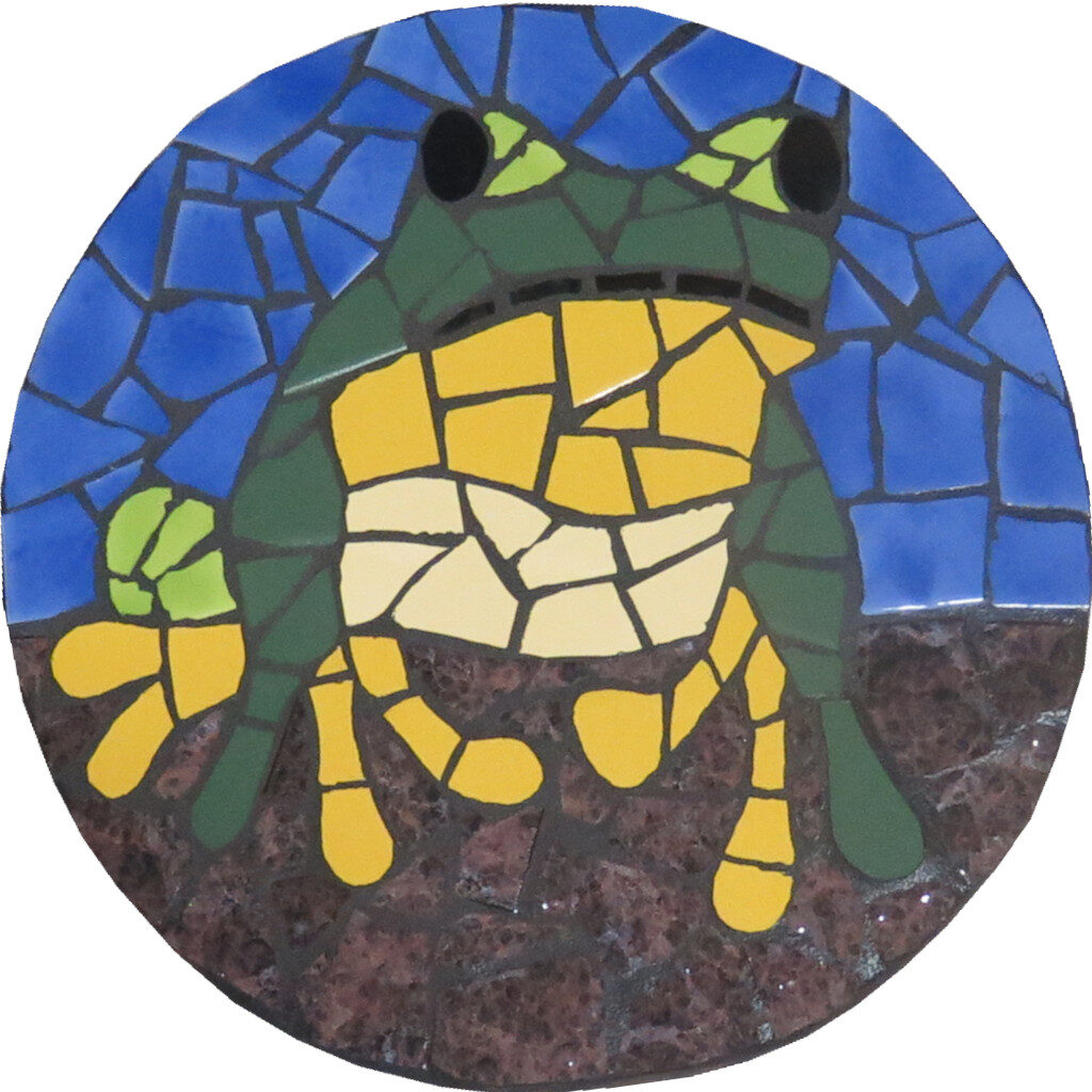 Completed mosaic treefrog mindfulness kit